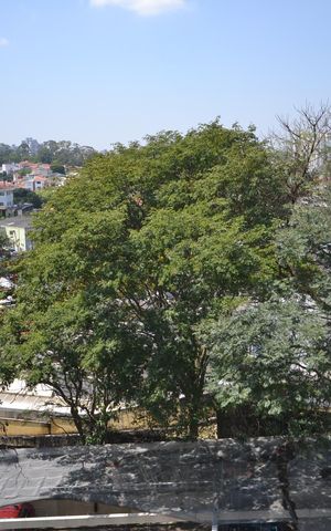 Apartamento para alugar com 69m², 3 quartos e 1 vagaVaranda
