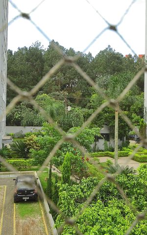 Apartamento à venda com 65m², 2 quartos e 1 vagaQuarto 2  vista 