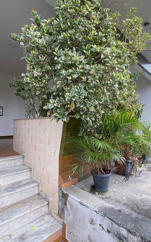 Apartamento para alugar com 45m², 1 quarto e 1 vaga