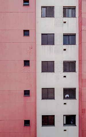Apartamento para alugar com 83m², 2 quartos e 1 vagaVista do Quarto 1