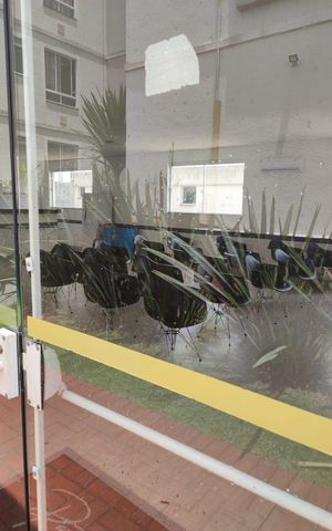 Apartamento para alugar com 42m², 2 quartos e 1 vaga Apartamento para alugar com 42m², 2 quartos e 1 vagaÁrea externa
