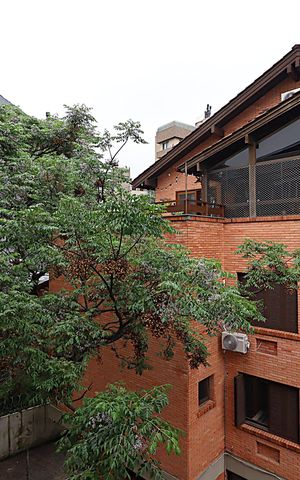 Apartamento para alugar com 44m², 1 quarto e sem vagaVista do Quarto