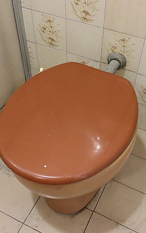 Apartamento para alugar com 44m², 1 quarto e sem vagaBanheiro 