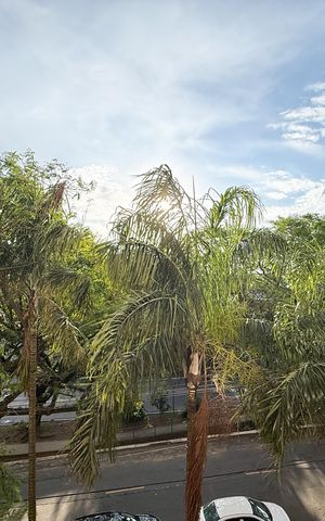 Apartamento para alugar com 50m², 2 quartos e 1 vaga Apartamento para alugar com 50m², 2 quartos e 1 vagaVaranda