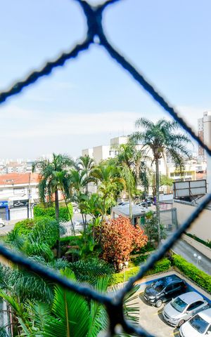 Apartamento para alugar com 73m², 3 quartos e 1 vagaVista da Sala 