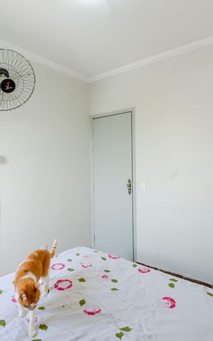 Apartamento para alugar com 73m², 3 quartos e 1 vagaQuarto 3 