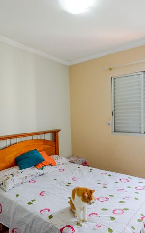 Apartamento para alugar com 73m², 3 quartos e 1 vagaQuarto 3 