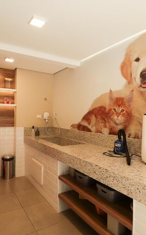 Apartamento para alugar com 38m², 1 quarto e sem vagaPetcare