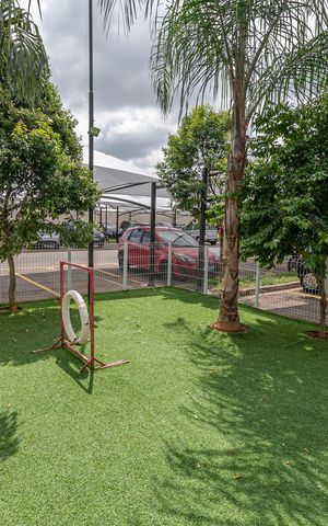 Apartamento à venda com 55m², 2 quartos e 1 vagaÁrea comum - Espaço Pet
