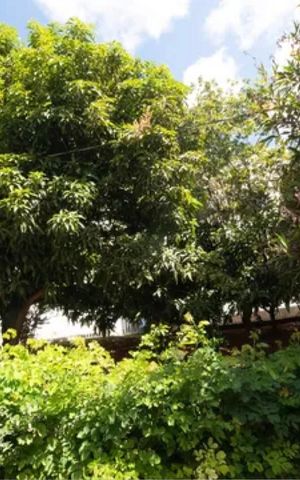 Apartamento à venda com 80m², 3 quartos e 1 vaga Apartamento à venda com 80m², 3 quartos e 1 vagaJardim