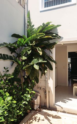 Casa para alugar com 165m², 3 quartos e 2 vagasQuintal