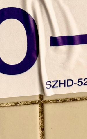 Apartamento à venda com 60m², 2 quartos e 1 vaga