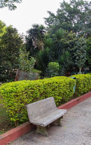 Apartamento à venda com 56m², 2 quartos e 1 vagaÁrea comum