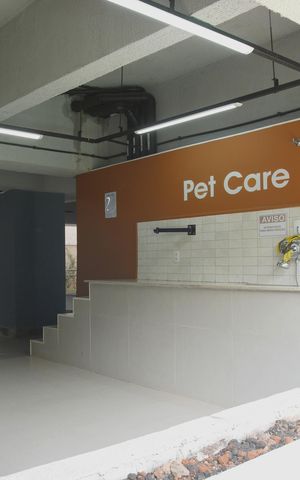 Apartamento para alugar com 35m², 2 quartos e sem vaga Apartamento para alugar com 35m², 2 quartos e sem vagaPet Care