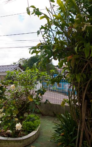 Casa à venda com 360m², 3 quartos e 1 vaga Casa à venda com 360m², 3 quartos e 1 vagaJardim