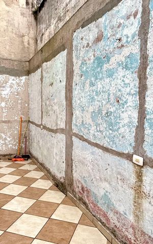 Casa à venda com 254m², 3 quartos e 2 vagasQuintal