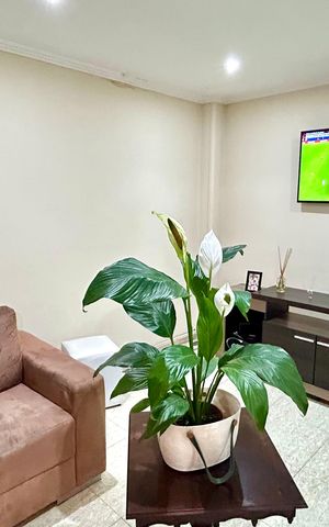 Casa à venda com 254m², 3 quartos e 2 vagasSala