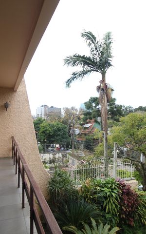 Casa para alugar com 318m², 3 quartos e 2 vagasSacada