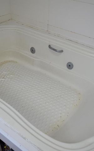 Apartamento para alugar com 150m², 3 quartos e 1 vagaBanheiro da Suíte