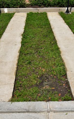 Apartamento para alugar com 53m², 2 quartos e 1 vagaVaga de Estacionamento