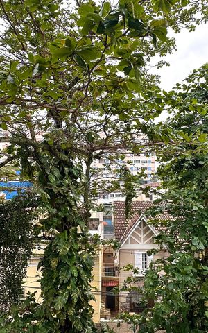 Apartamento para alugar com 68m², 2 quartos e sem vaga