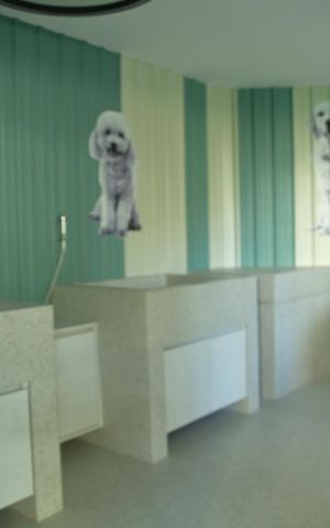 Apartamento à venda com 54m², 2 quartos e 1 vagaÁrea comum -Espaço Pet 