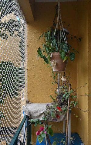 Apartamento à venda com 54m², 2 quartos e 1 vagaVaranda