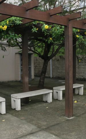 Apartamento para alugar com 43m², 2 quartos e 1 vagaÁrea comum