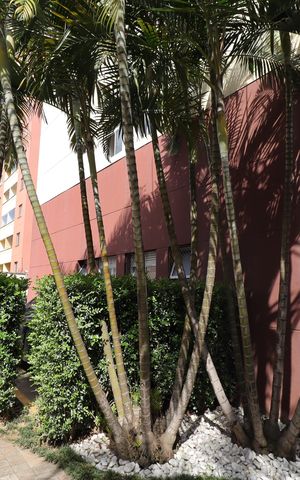 Apartamento para alugar com 60m², 2 quartos e 1 vagaJardim