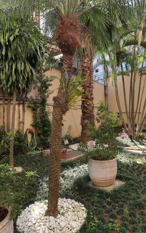 Apartamento para alugar com 60m², 2 quartos e 1 vagaJardim