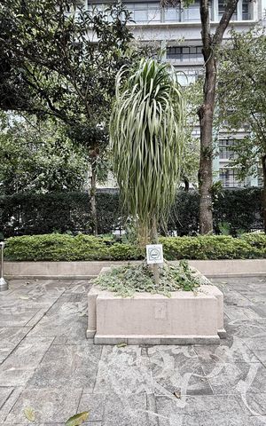 Apartamento para alugar com 103m², 3 quartos e 1 vaga Apartamento para alugar com 103m², 3 quartos e 1 vagaÁrea comum