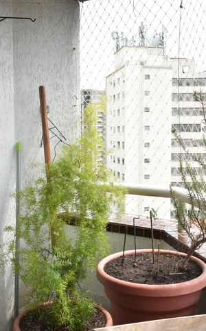 Apartamento à venda com 110m², 2 quartos e 2 vagasSacada