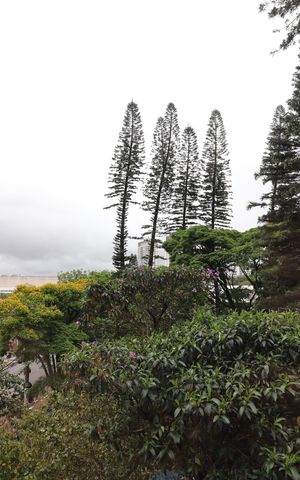 Apartamento à venda com 42m², 2 quartos e 1 vagaSala - vista