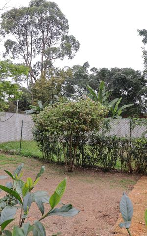 Apartamento à venda com 49m², 2 quartos e 1 vagaÁrea Pet
