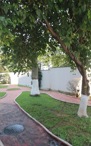 Apartamento para alugar com 54m², 2 quartos e 1 vagaÁrea Comum