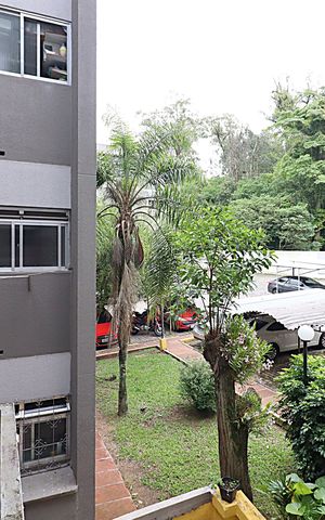 Apartamento para alugar com 42m², 1 quarto e 1 vagaVista da área de serviço