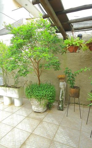 Casa à venda com 175m², 3 quartos e 2 vagasQuintal/jardim 