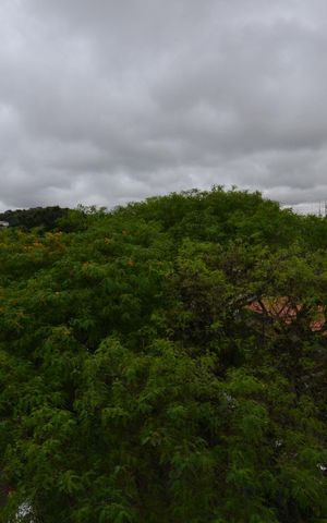 Apartamento para alugar com 40m², 2 quartos e sem vagaVaranda