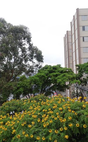 Apartamento para alugar com 70m², 3 quartos e 2 vagasQuarto 2 - vista