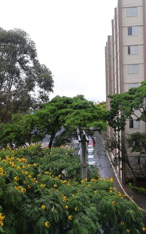 Apartamento para alugar com 70m², 3 quartos e 2 vagasQuarto 3 - vista