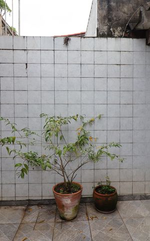Casa para alugar com 88m², 3 quartos e 1 vagaQuintal