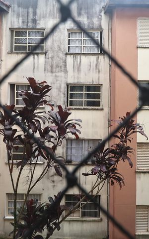 Apartamento para alugar com 68m², 2 quartos e 1 vaga Apartamento para alugar com 68m², 2 quartos e 1 vagaVista da sala