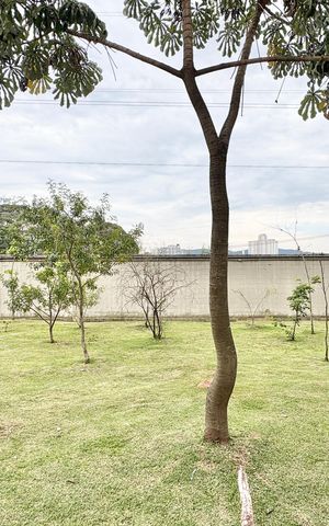 Apartamento à venda com 42m², 2 quartos e 1 vaga Apartamento à venda com 42m², 2 quartos e 1 vagaVista