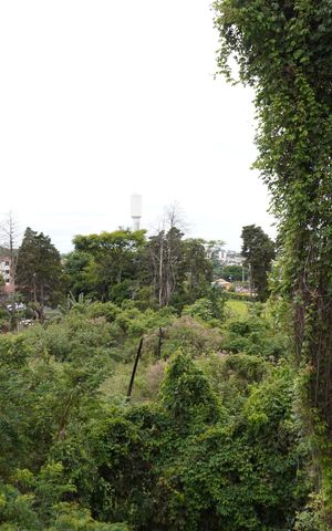 Apartamento para alugar com 50m², 2 quartos e 1 vagaVista Quarto 2