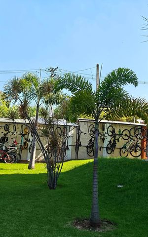 Apartamento à venda com 45m², 2 quartos e 1 vaga Apartamento à venda com 45m², 2 quartos e 1 vagaÁrea externa