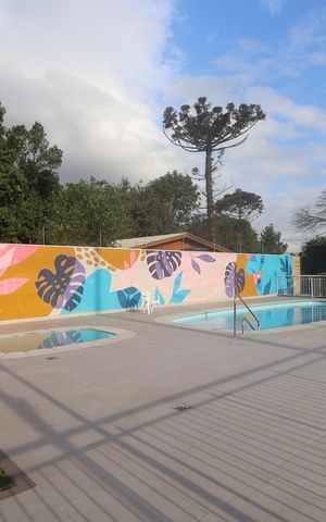 Apartamento à venda com 49m², 2 quartos e 1 vagaÁrea comum - Piscina