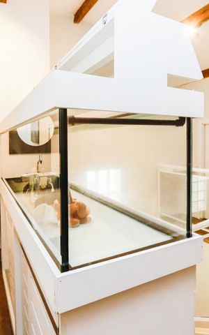 Casa de condomínio para alugar com 379m², 3 quartos e 4 vagas