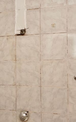 Casa para alugar com 72m², 2 quartos e 1 vaga Casa para alugar com 72m², 2 quartos e 1 vagaBanheiro