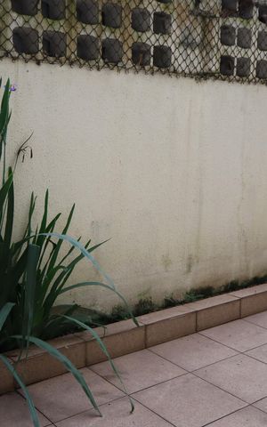 Apartamento à venda com 81m², 2 quartos e 1 vagaQuarto 1