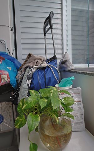 Apartamento à venda com 32m², 1 quarto e sem vagaQuarto de serviço